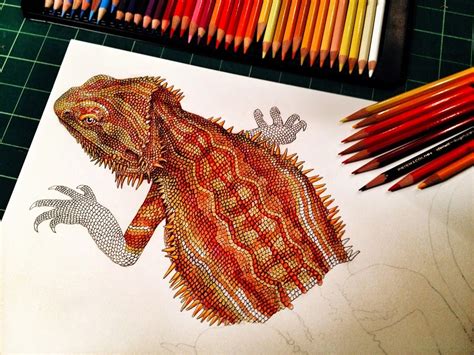 Simply Creative Colorful Drawings Of Reptiles By Tim Jeffs