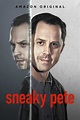 Sneaky Pete (Season 2) | Tv series, Best tv, Television show