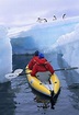 Kayaking with Penguins in Antarctica... My Dream | Kayaking, Places to ...