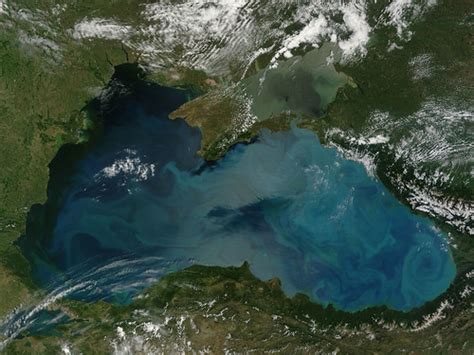 Phytoplankton Bloom In The Black Sea An Intense Bloom Of P Flickr
