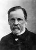 Louis Pasteur (1822-1895) | Behind the frieze | LSHTM