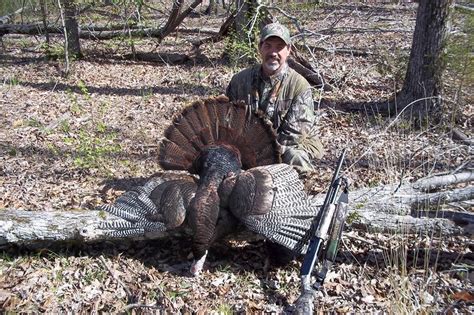 Turkey Hunting Tips To Set Up For Success Great Days Outdoors