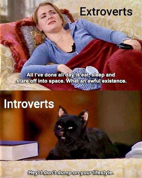50 Funny Introvert Memes That Will Make You Say Omg Thats Me