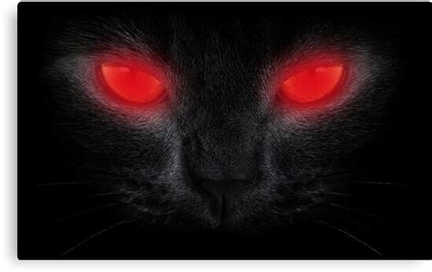 Halloween Scary Black Cat Red Glowing Eyes Canvas Prints