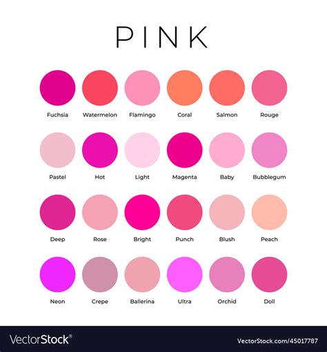 Pink Color Shades Swatches Palette With Names Vector Image