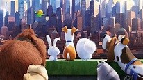 3840x2160 The Secrete Life of Pets Movie 4k HD 4k Wallpapers, Images ...