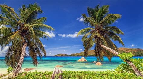 Nature Landscape Tropical Beach Island Palm Trees Sea Summer Seychelles Wallpapers Hd