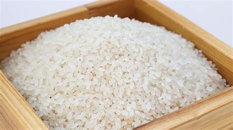 Japonica Rice Tcm Food Therapy