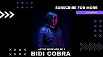 Bidi Cobra | Artist Interview - YouTube