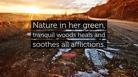 John Muir Quote “nature In Her Green Tranquil Woods Heals And Soothes