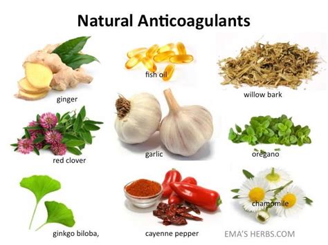 Natural anticoagulants help thin the blood without complications. nature's anti-coagulants or blood thinners ... ginger, red ...