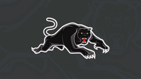Panthers Nrl Wallpapers Wallpaper Cave