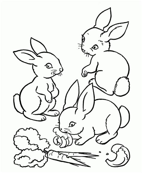 Finally all pictures we have been displayed in this site will inspire you all. Lapin Coloriage - Dessin et Coloriage