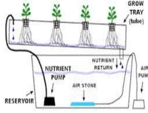 The Nft Hydroponic System Download Scientific Diagram