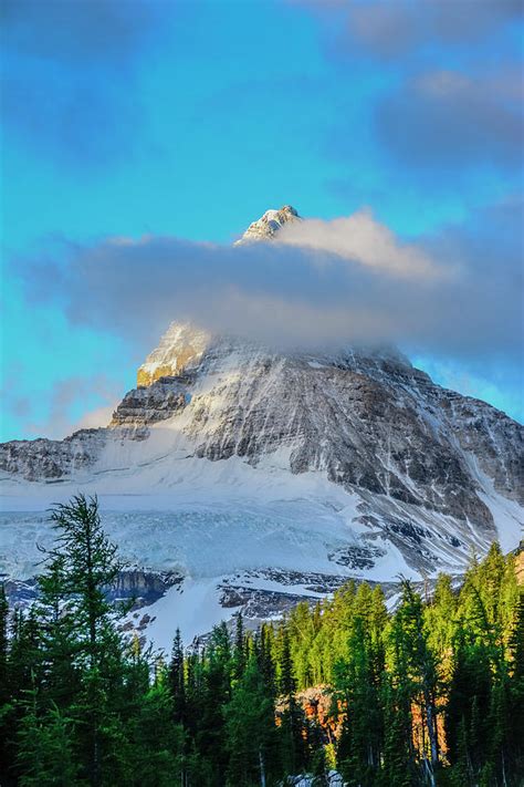 Mount Assiniboine Seen From Sunburst Photograph By Howie Garber Fine