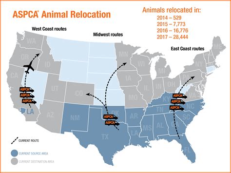 How Animal Relocation Programs Save Lives Aspca