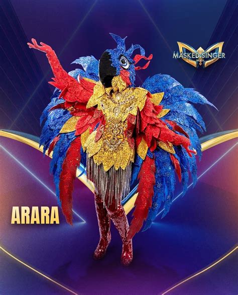 Masked Singer Brasil 4 Costume Araramacaw Rthemaskedsinger