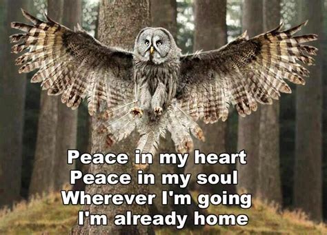 Pin By Ingrid Pintje On Inspirational Quotes Owl Owl Pictures Beautiful Owl