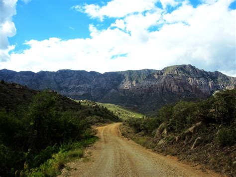 In frankfurt soll sie der gelähmten klara gesellschaft leisten. Rachel Jaybird: explorations