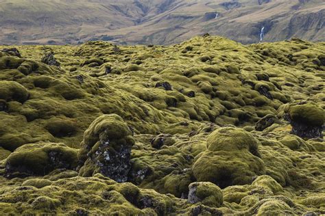 Ancient Moss Iceland One Of The Most Surreal Experiences Of My Life