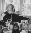 Ernest Hemingway and His Cats - Old Pictures
