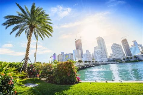 Miami Sonniges Paradies An Der Ostküste Floridas
