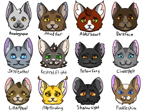 Warrior Cats Medicine Cats Redesigns By Heneryettathehen On Deviantart