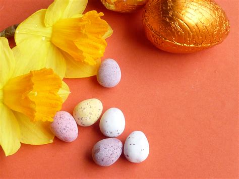 Free Stock Photo 17338 Mini Sugar Coated Easter Eggs With Daffodils