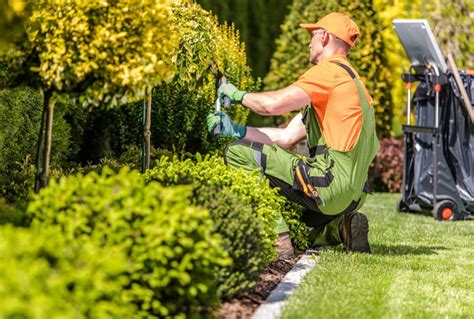 A Top Landscaping Contractor In Fort Lauderdale Fl