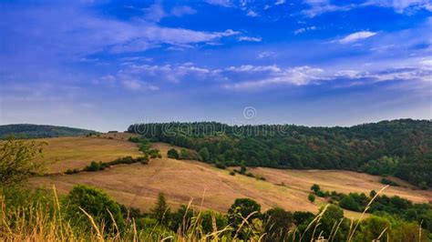 Scenic Landscape With Dry Meadows Forest And Blue Cloudy Sky Stock