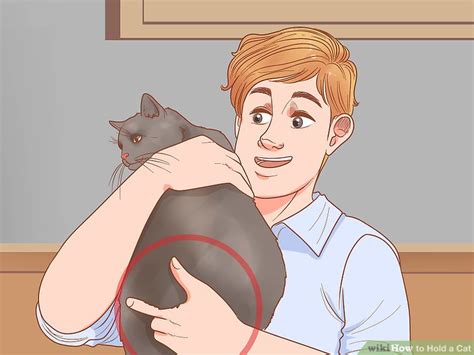 6 ways to hold a cat wikihow