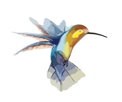 Hummingbird With Transparent Background Clip Art At Clker