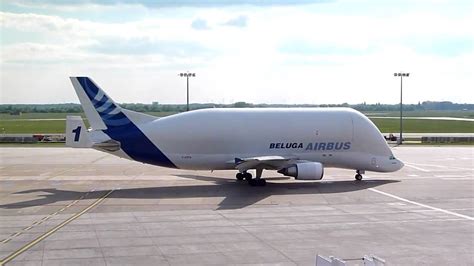 The airbus beluga is a heavy plane when it's completely unloaded. Airbus Beluga A300-600 ST Takeoff Bremen - YouTube