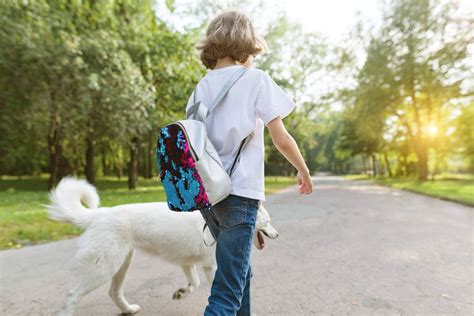 What Do You Do if an Off-Leash Dog Approaches You While You Are Walking Your Dog? - Growl Snarl Snap