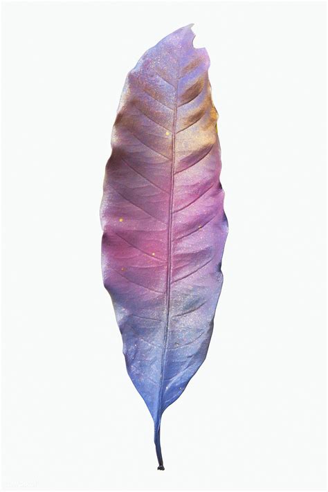 Download Premium Psd Image Of Pastel Colored Leaf Isolated On
