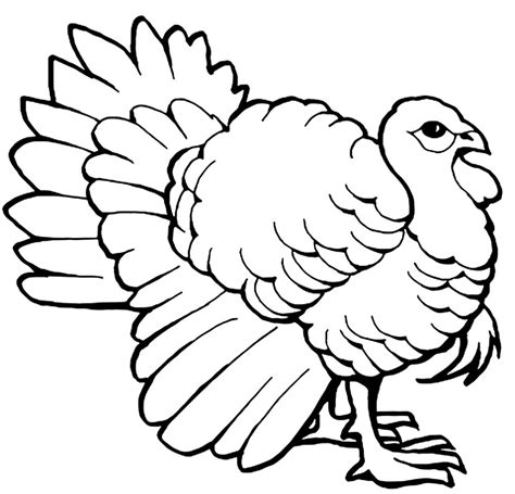 This free printable build a turkey coloring page will be a big hit at any holiday party this year. Turkey Coloring Pages to download and print for free