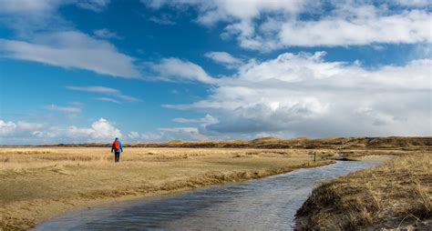 Wadden Islands Nl Holiday Accommodation From Au 145night Stayz