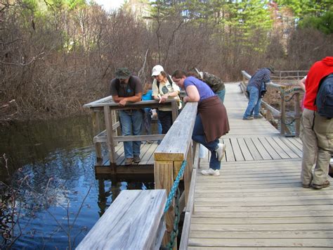 Squam Lakes Natural Science Center Blog New Hampshire Day 2015