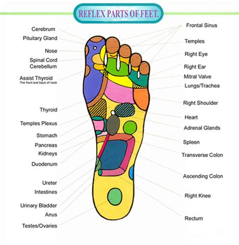 Pressure Points In Your Feet Chart And Videos