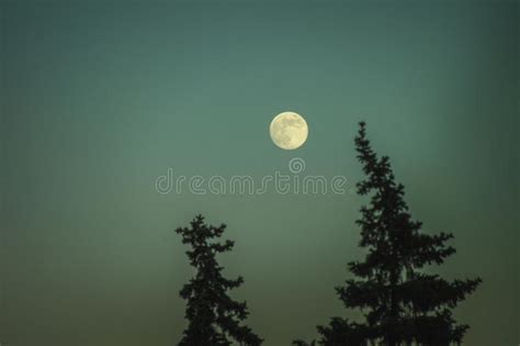 247 Full Moon Over Woods Photos Free And Royalty Free Stock Photos From