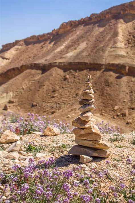 Stacked Desert Stones And Spectacular Wild Flowers Bloom In A Desert
