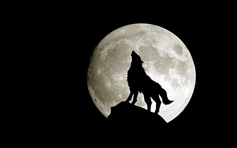 Wolf Moon Fantasy Wallpaper 28637592 Fanpop