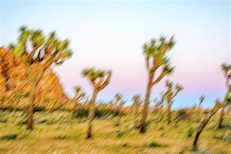 The Mystical Desert 2 Photograph By Joseph S Giacalone