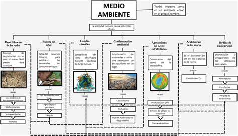 Mapas Conceptuales Del Medio Ambiente 【descargar】