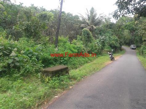 For more details contact us: 2.49 Acres Farm Land for sale in Mangalore Mangalore ...
