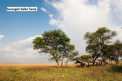 Serengeti Safari African Safaris Gamewatchers Safaris
