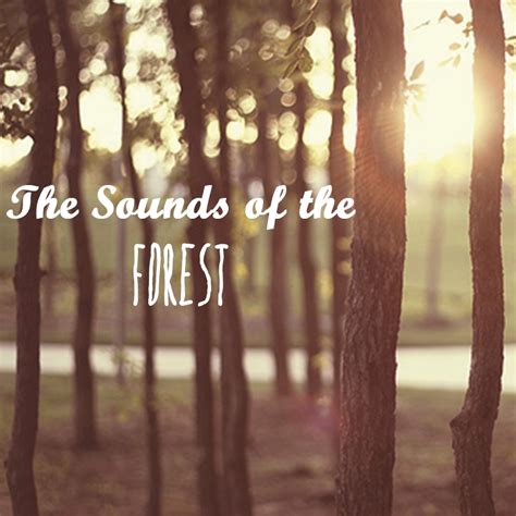 8tracks Radio The Sounds Of The Forest 18 Songs Free And Music