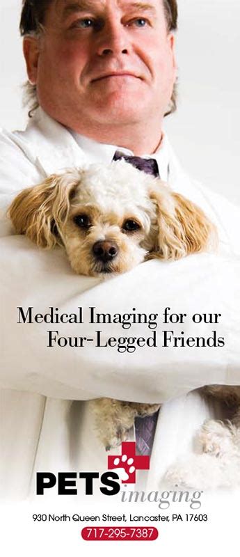 Pets Imaging Brochure Bmd Design Llc York Pa
