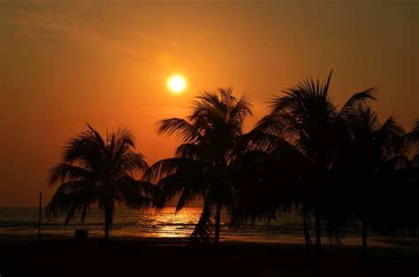 Free Images Beach Landscape Sea Coast Tree Water Nature Sand