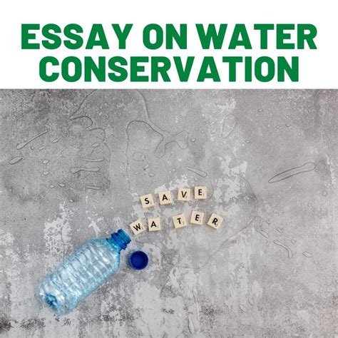 Save Water And Its Importance Best Speeches And Essays For Students
